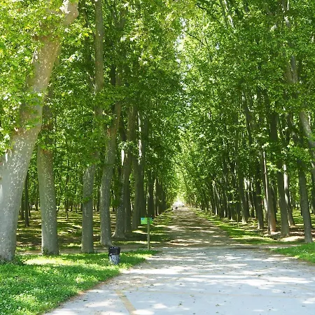 Modern A Centre, Parking Gratis Apartman *