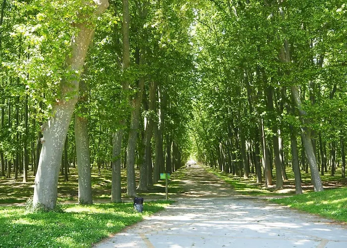 Modern A Centre, Parking Gratis 公寓 *