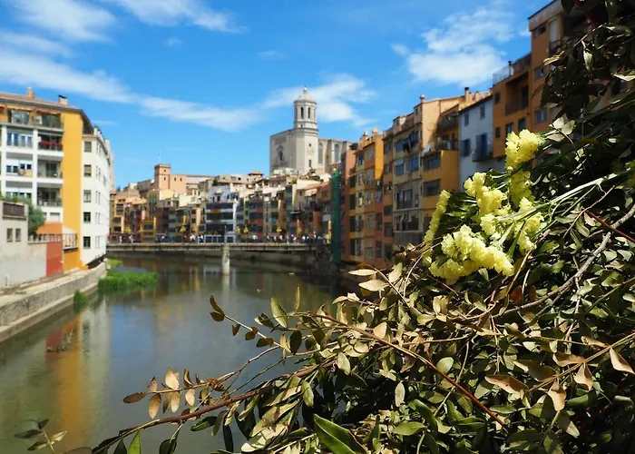 Modern A Centre, Parking Gratis Appartement